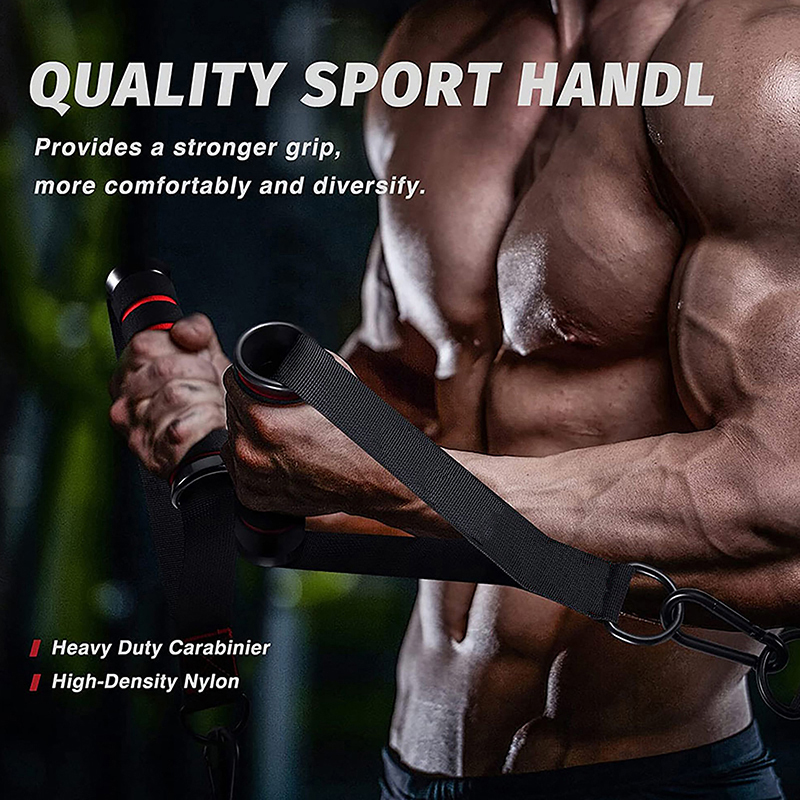 1 Ensemble de poignées de gym  - D Ring Strap avis et prix